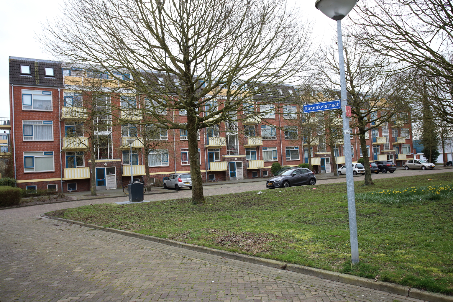 Ranonkelstraat 2