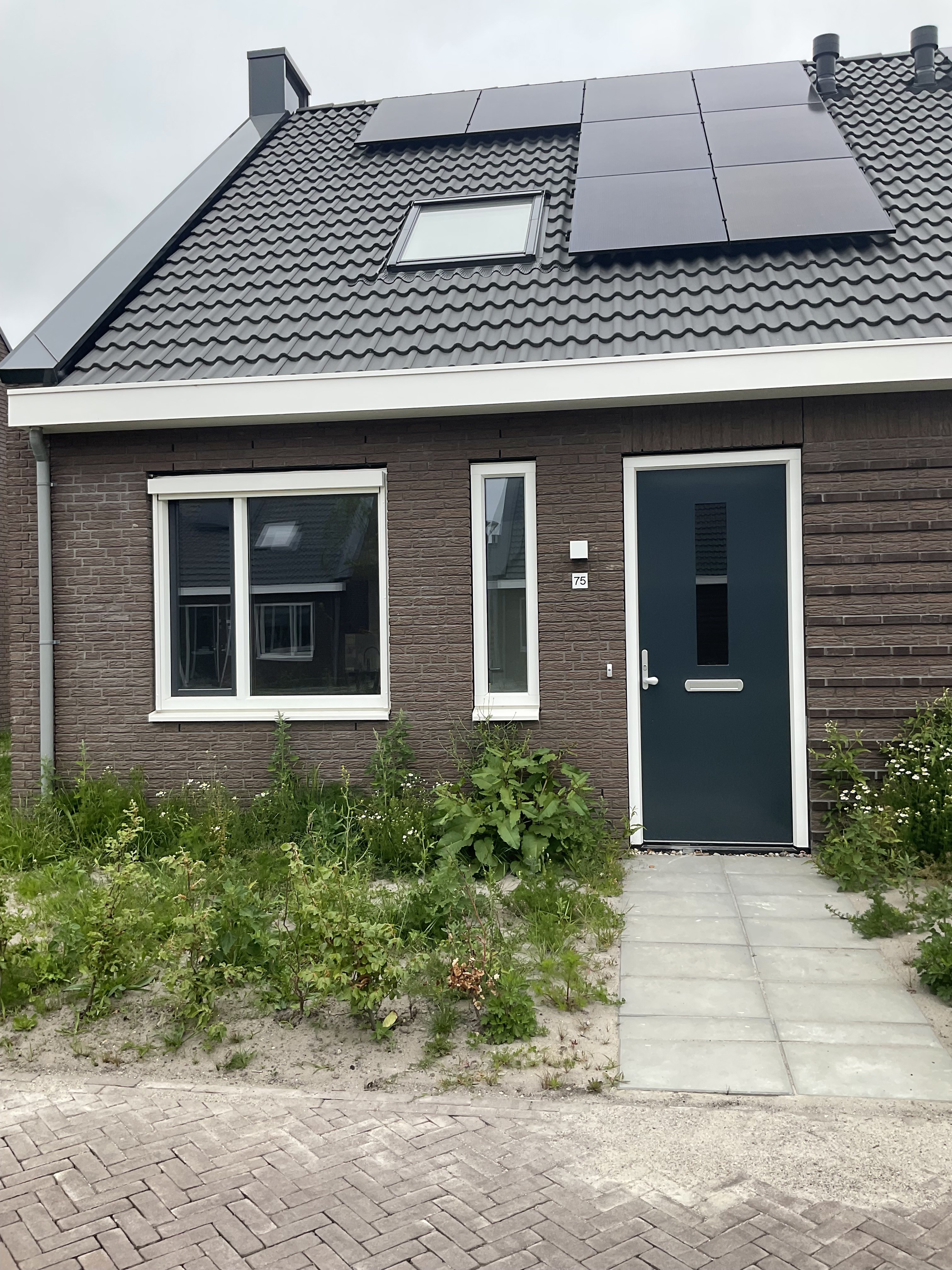 Rengersstraat 75, 9902 GT Appingedam, Nederland