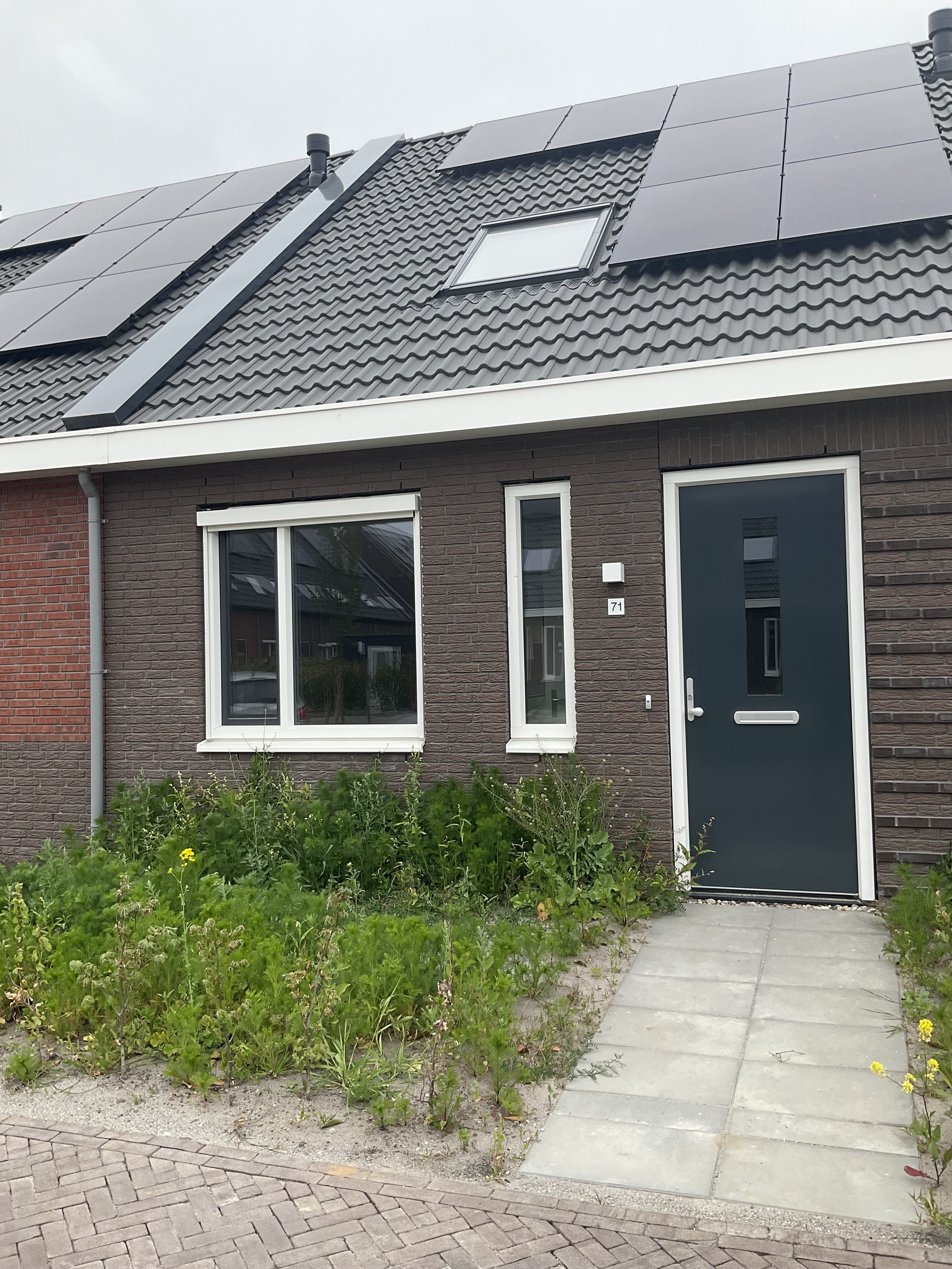 Rengersstraat 71, 9902 GT Appingedam, Nederland