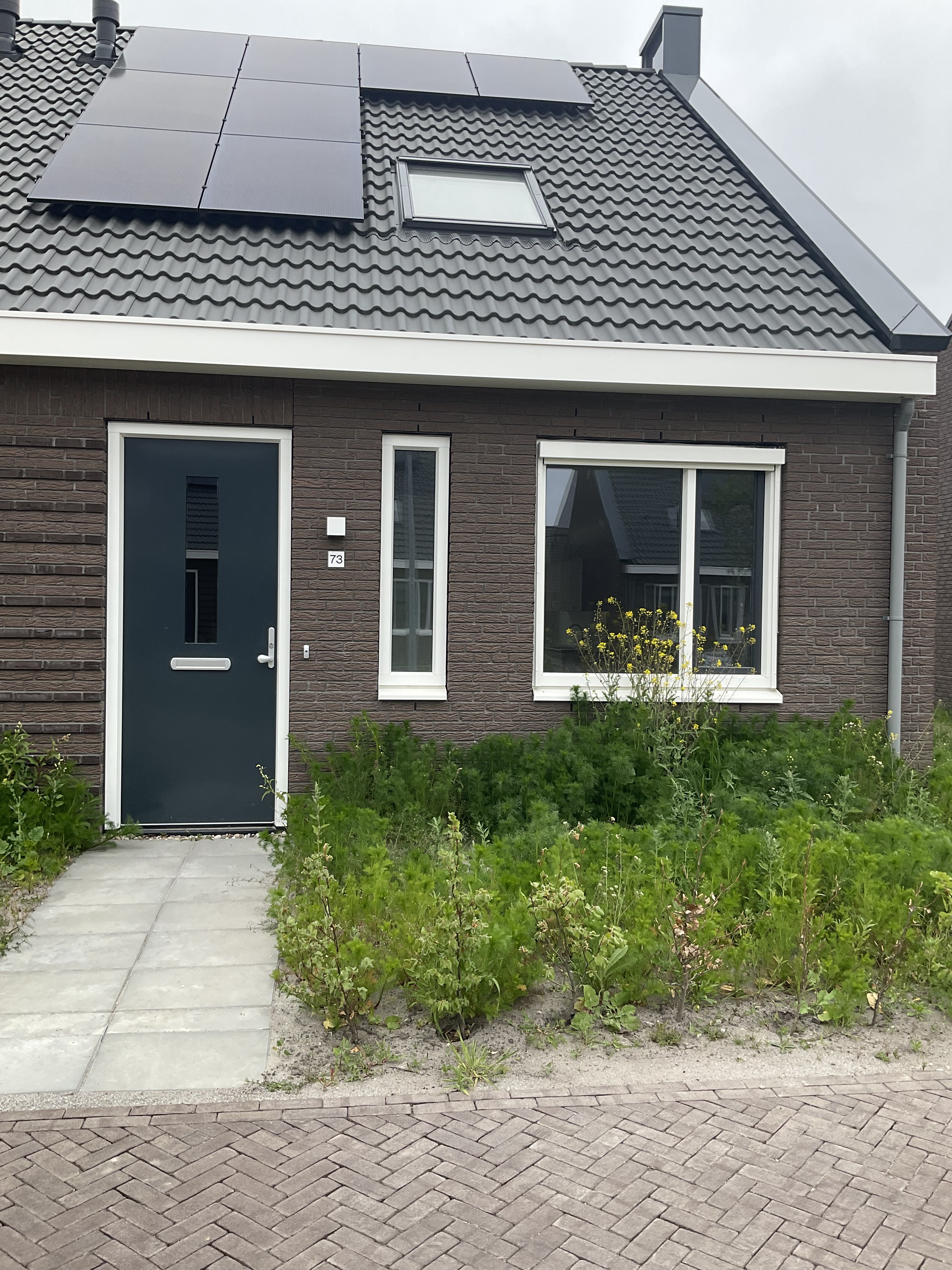 Rengersstraat 73, 9902 GT Appingedam, Nederland